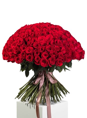 kız isteme çiçeği